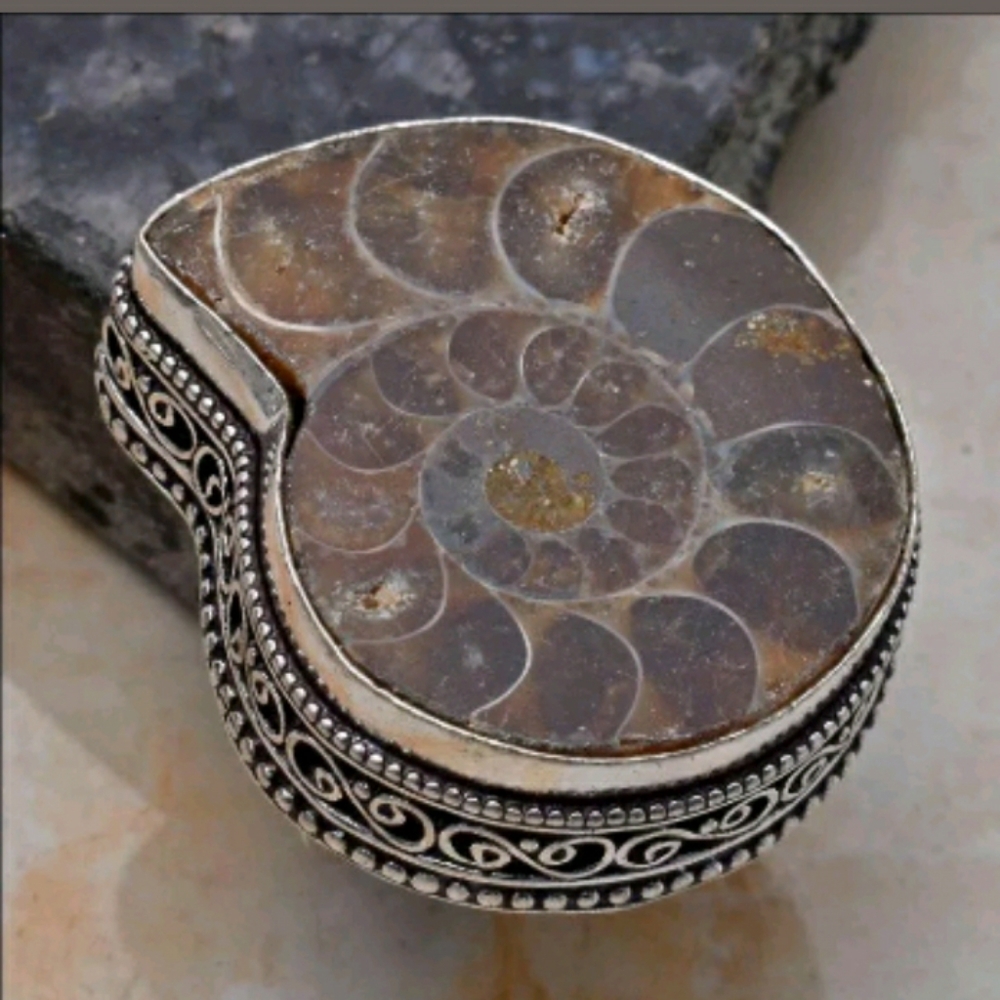 New Amonite Fossil 925 Silver Ring.